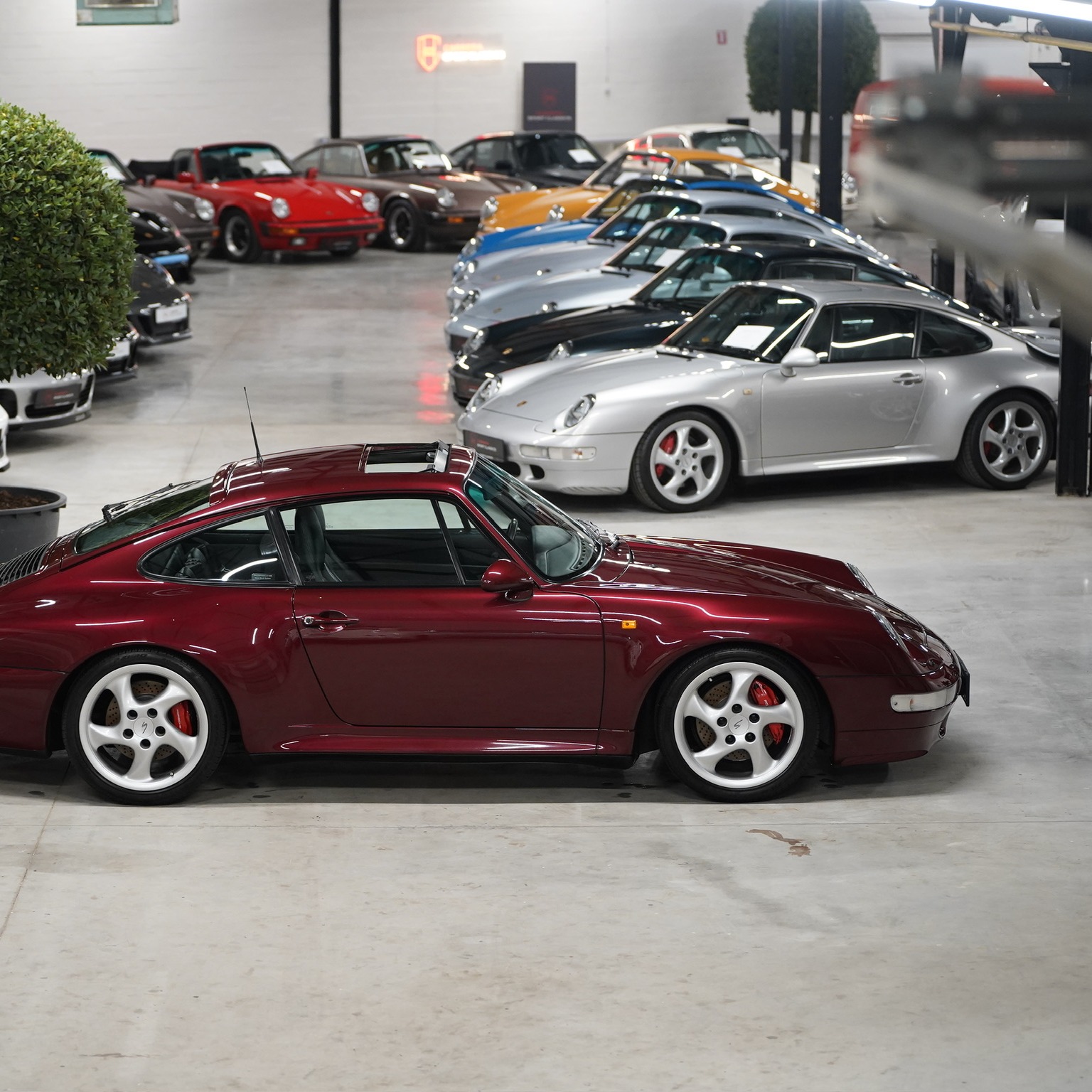 Aanbod Details Person Image Collectie | Carrera Sport Classics