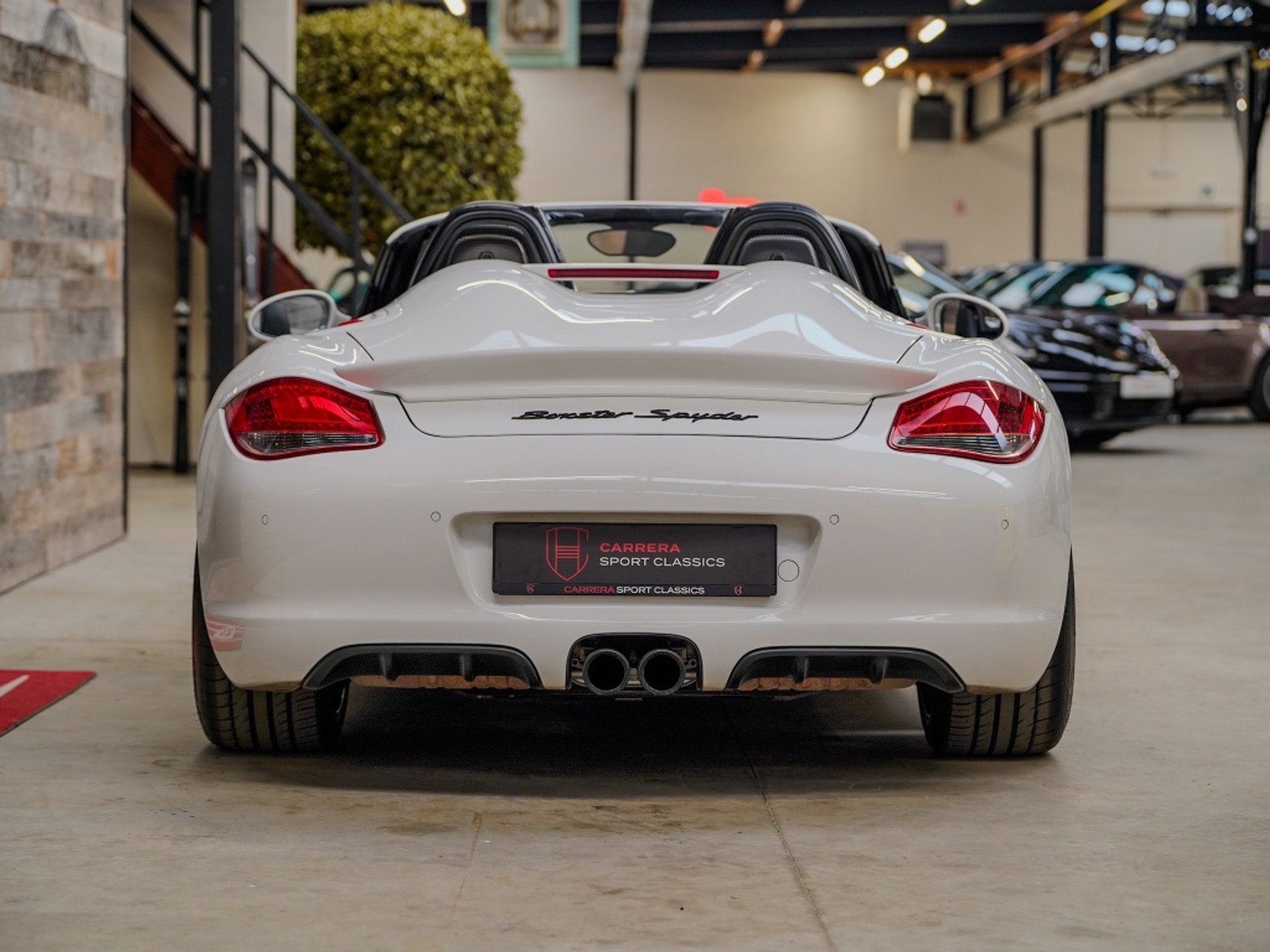 40786293-5.jpg