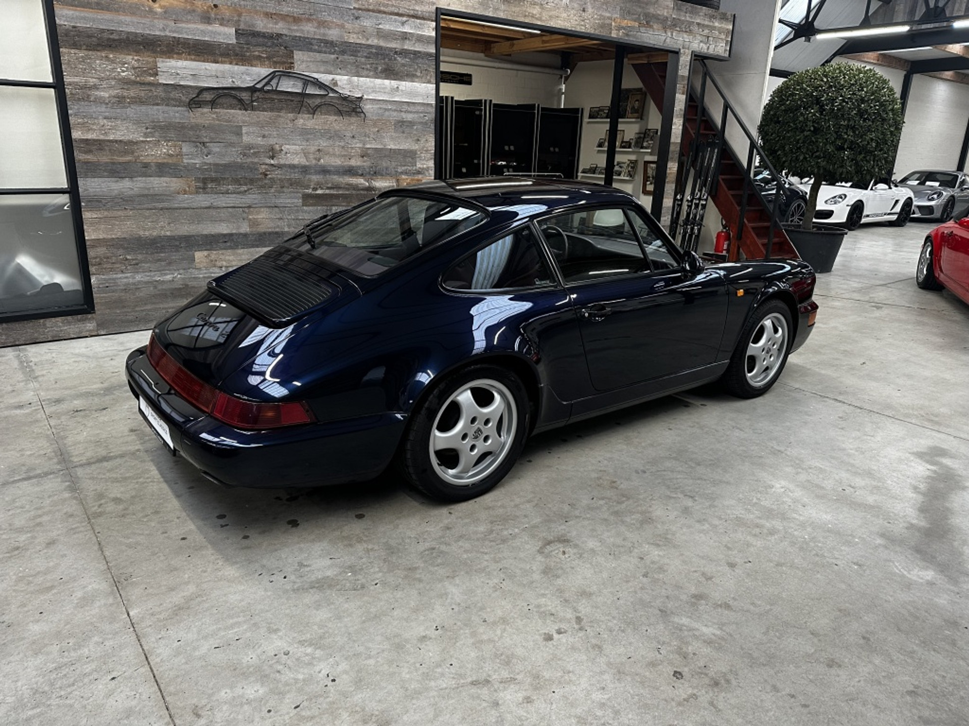 43511168-10.jpg