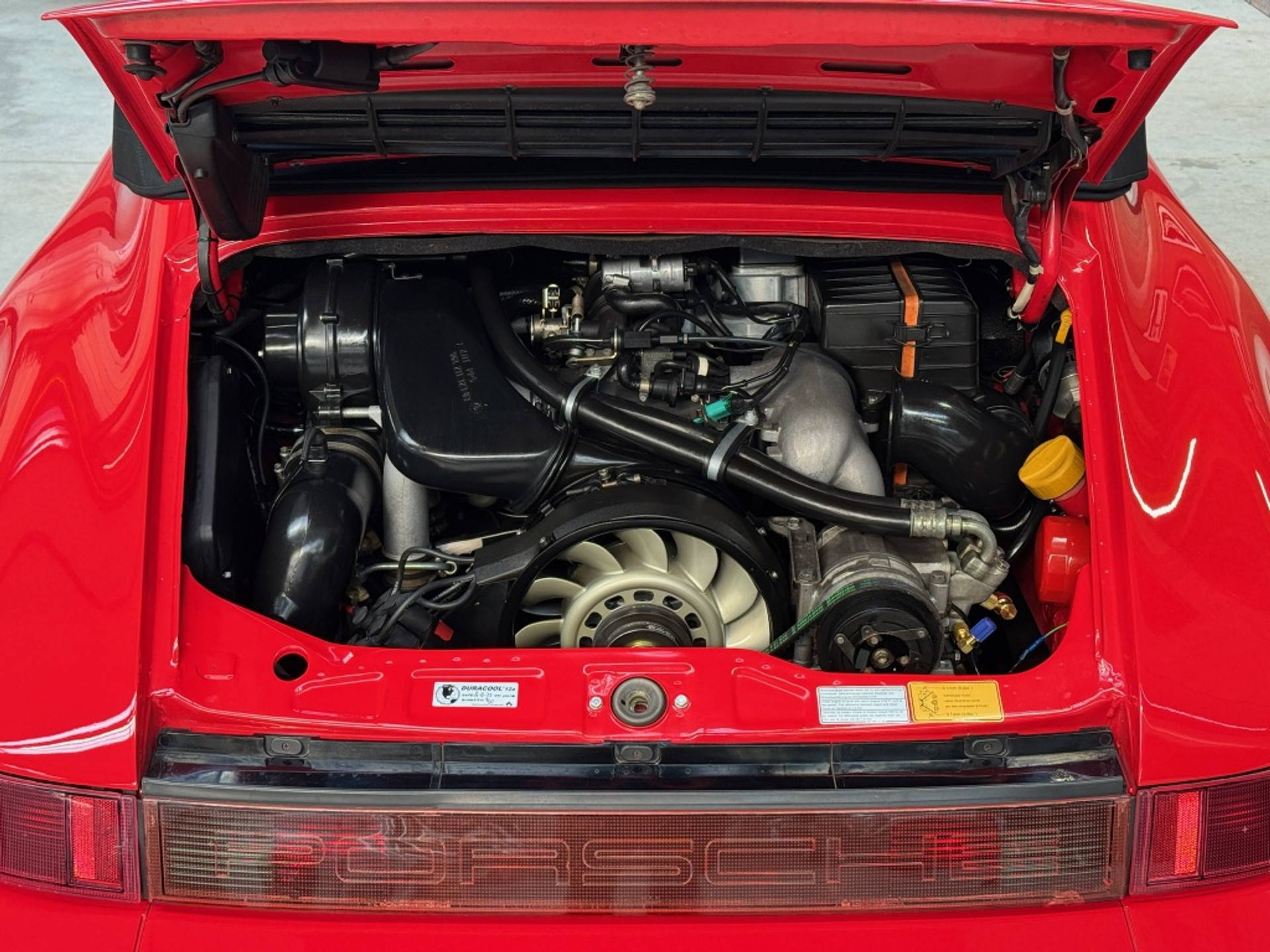 43745226-8.jpg