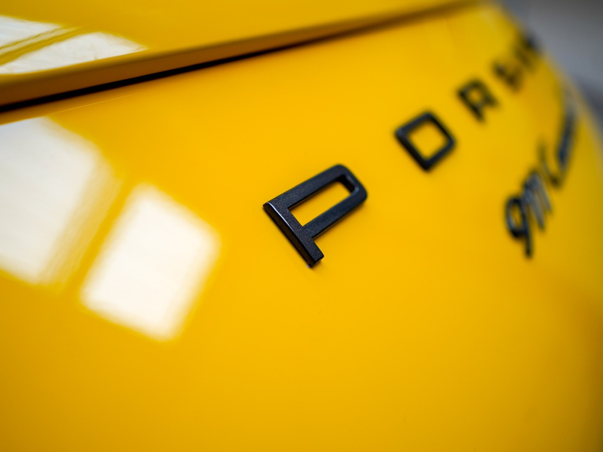43992499-55.jpg
