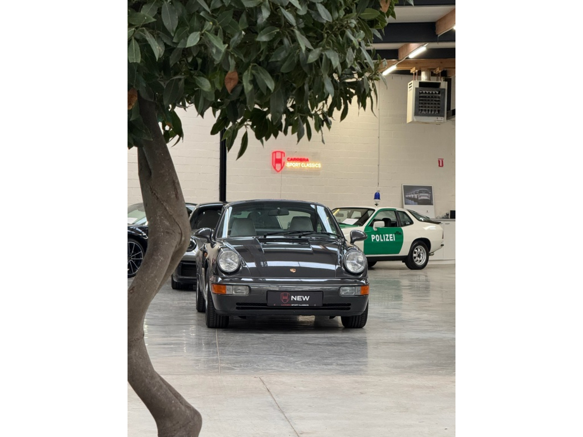 46564920-2.jpg